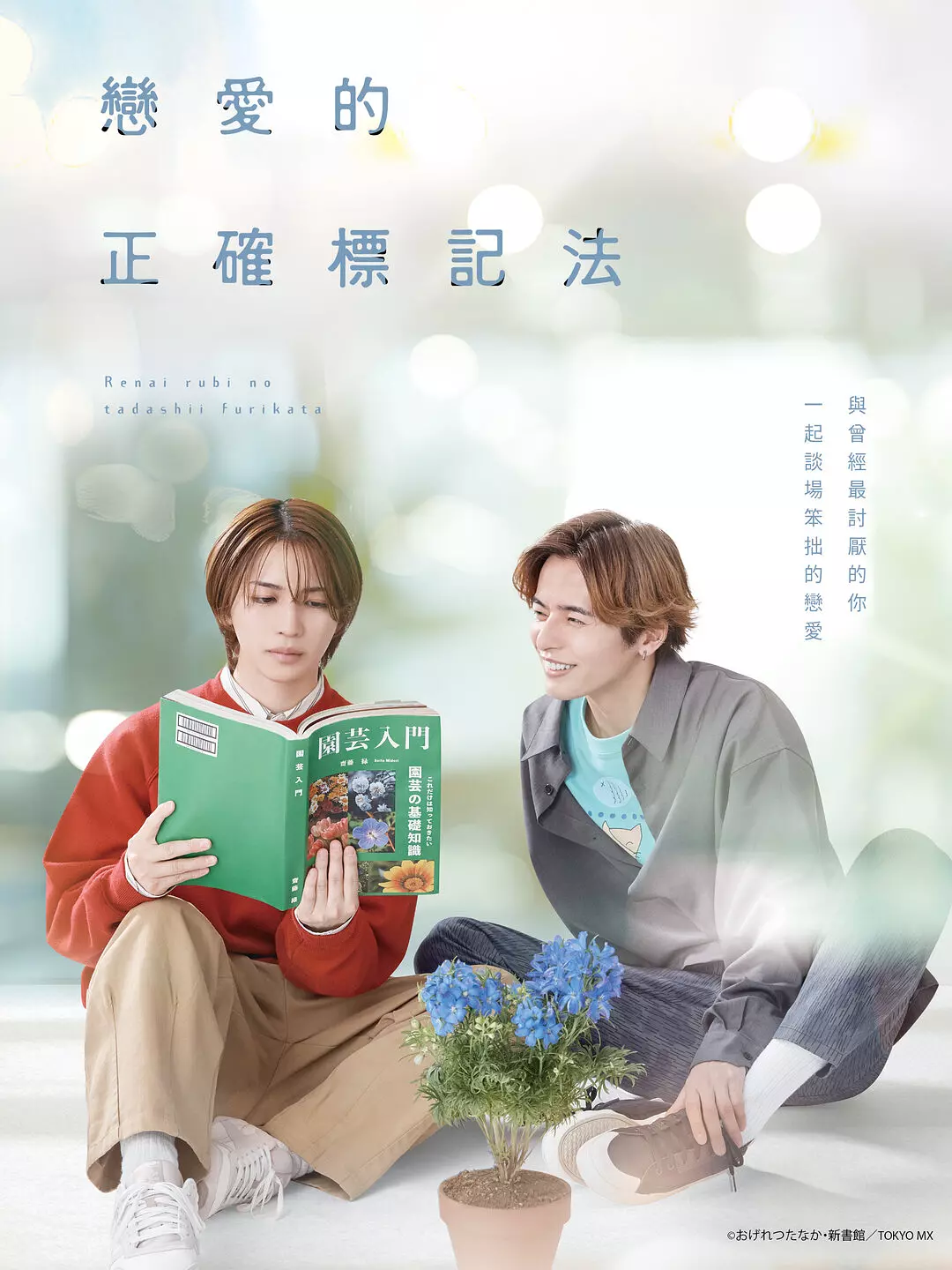 《恋爱的正确标记法》全集在线观看与下载推荐（2025最新）