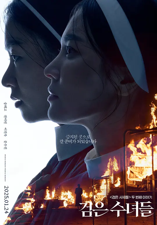《黑修女们》剧情介绍与高清资源下载推荐（2025最新）
