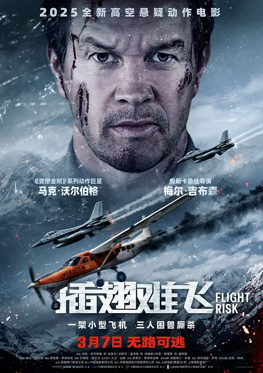 插翅难飞 高清电影解说与在线观看（2025最新）