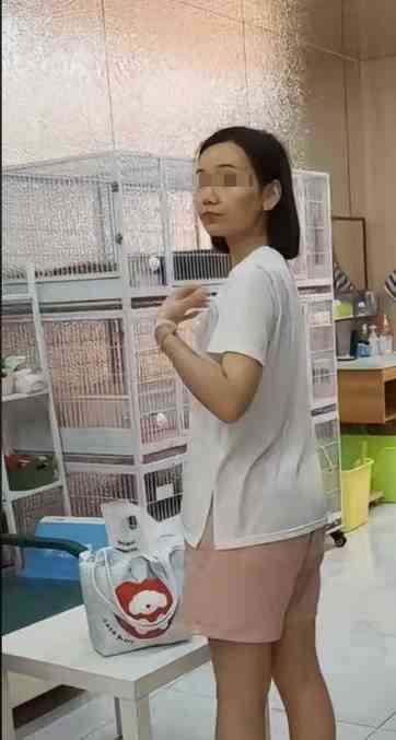 沈阳女子猫咖虐猫致4死2伤，引发全网震怒与法律讨论