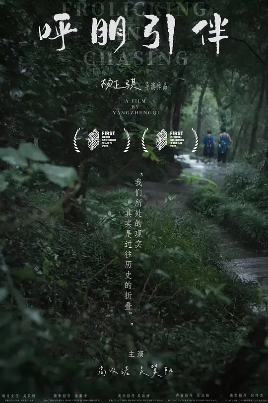 ​呼朋引伴剧情解说与全集资源推荐（2025最新）