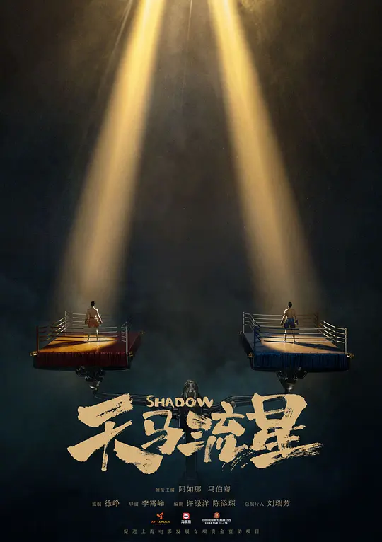 天马流星电影高清在线观看与剧情深度解读