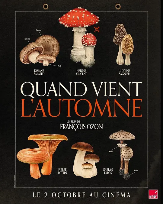 ​秋日何时来（Quand vient l'automne，2024）高清在线播放｜法国剧情电影完整版