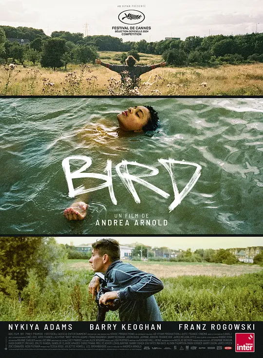 鸟（Bird，2024）高清在线播放｜英国剧情电影完整版
