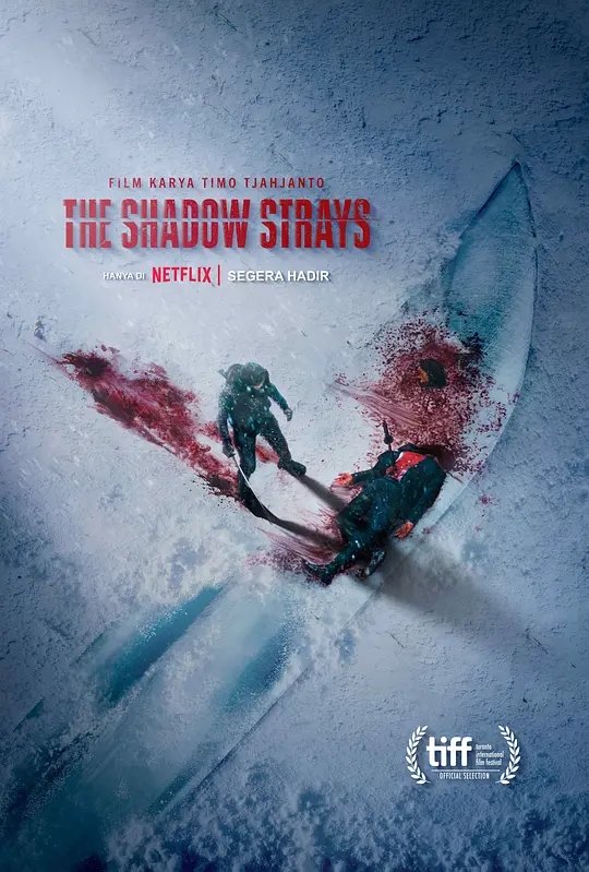 叛影浪客（The Shadow Strays，2024）高清在线播放｜动作惊悚犯罪电影完整版